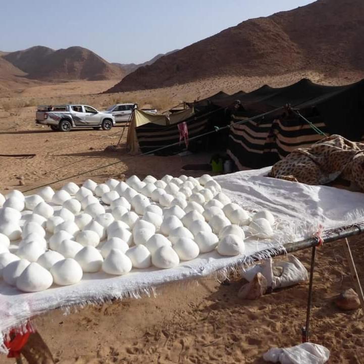 Bedouin Family Camp Hotel Wadi Rum Exterior photo